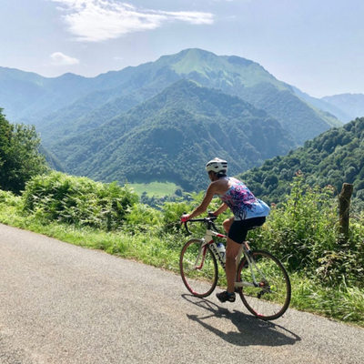 Provence, Pyrenees, & Persistence