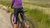 Seatpost on a bike