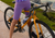 Bike Frame Measurement